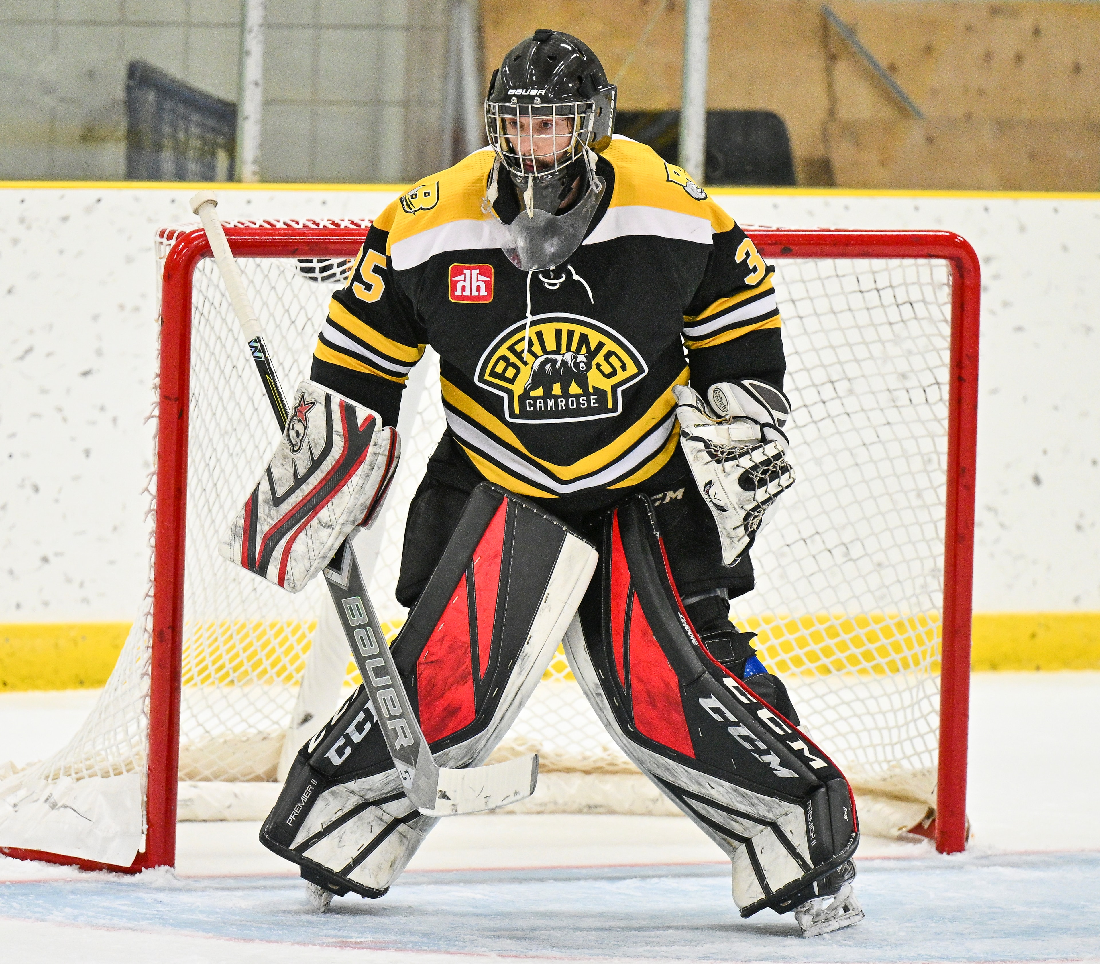 Bruins goalie in net