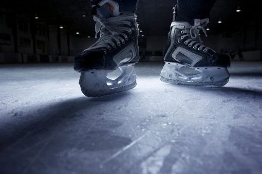 Bruins Sponsor