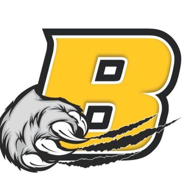 Bruins Sponsor