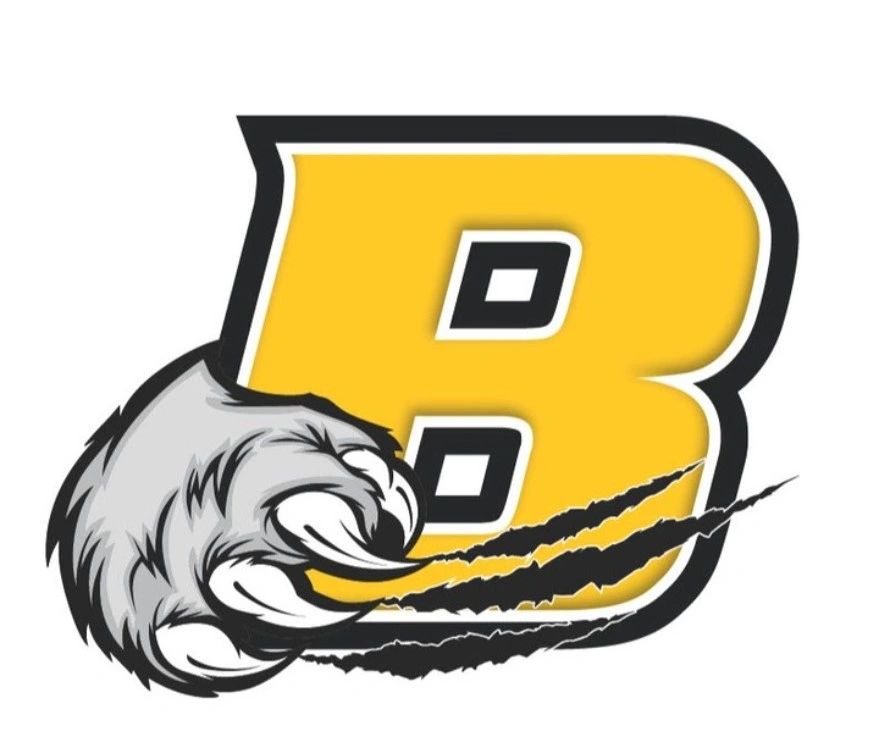 Bruins Sponsor